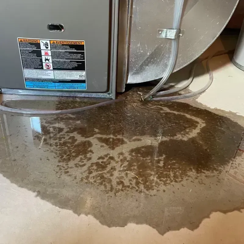 Appliance Leak Cleanup in Lima, NY